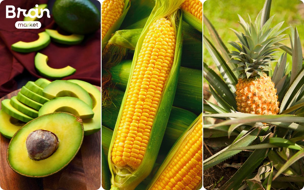 avokado kukutrice ananas